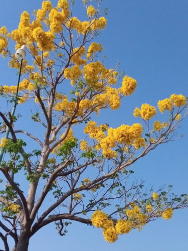 Covid-19, contagiarse de esperanza